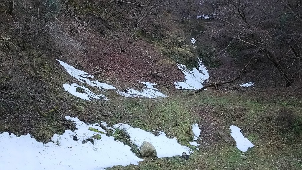 dsc_1845