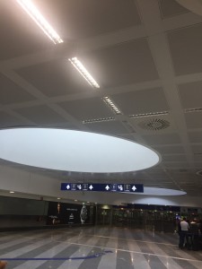 IMG_6155