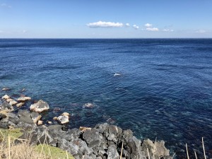 IMG_20180214_221428_386