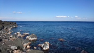 line_1518492840961-300x169