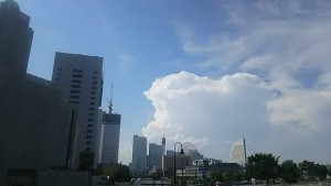 DSC_3588