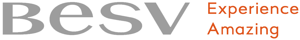 besv_AIS