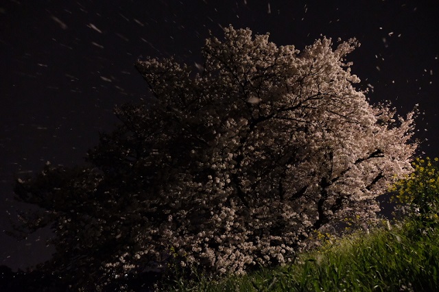 dscf3805