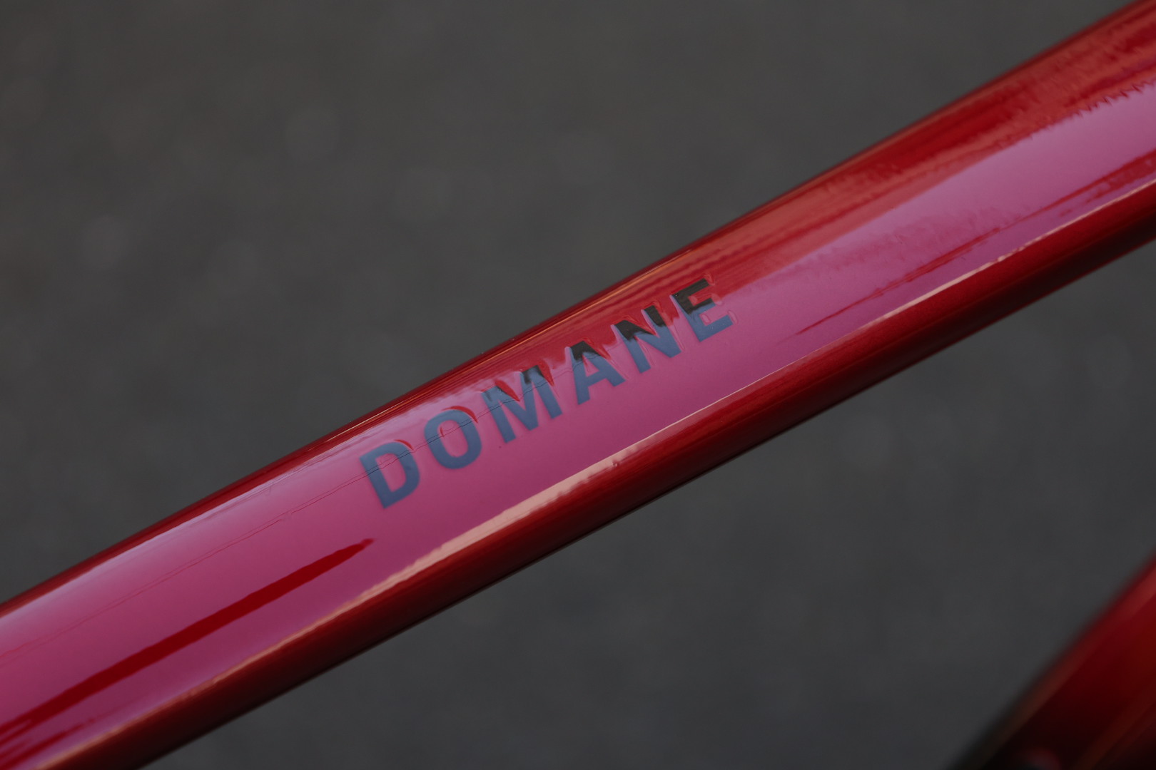 domane