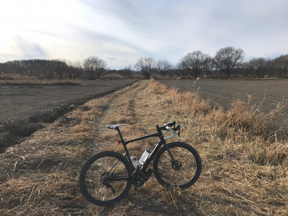 【スタッフバイクカスタム】ロードバイクにブロックタイヤって・・・けっこうアリかも【グラベルライドも】 | Y's Road 池袋チャーリー店