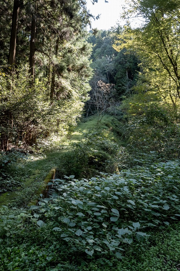 10-L1003086