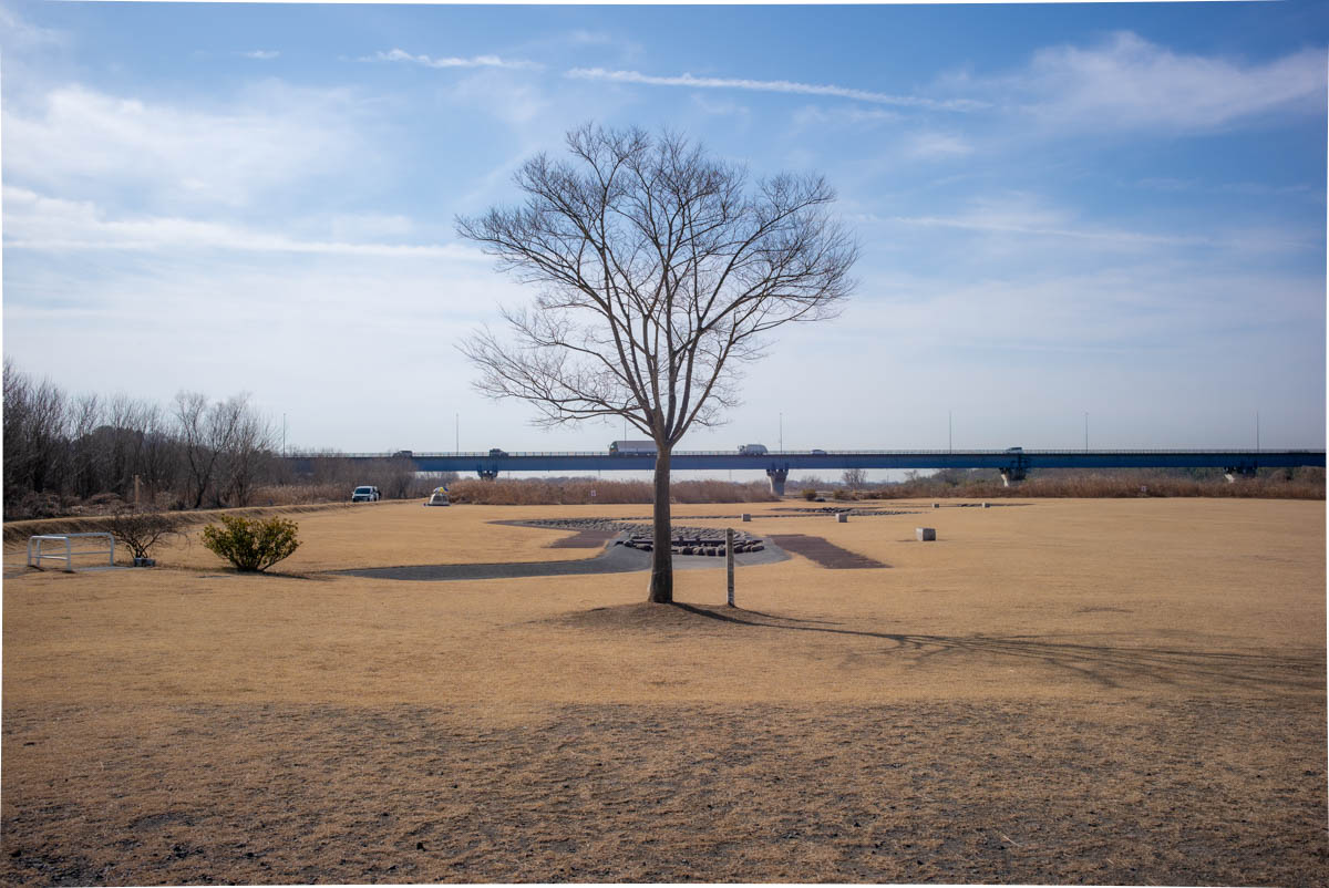 北本水辺プラザ公園