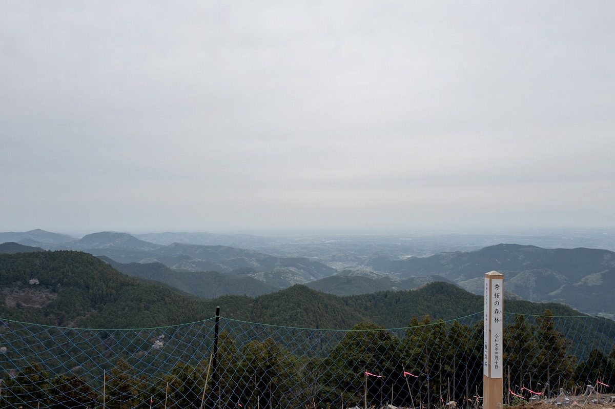 5-L1003215