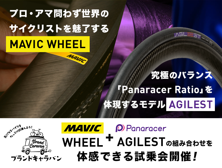 img_bc-mavic-pana