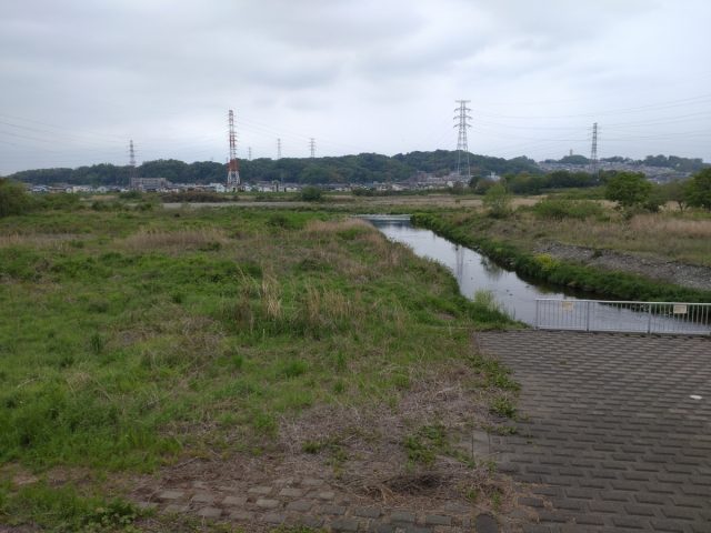 DSC_6094[1]
