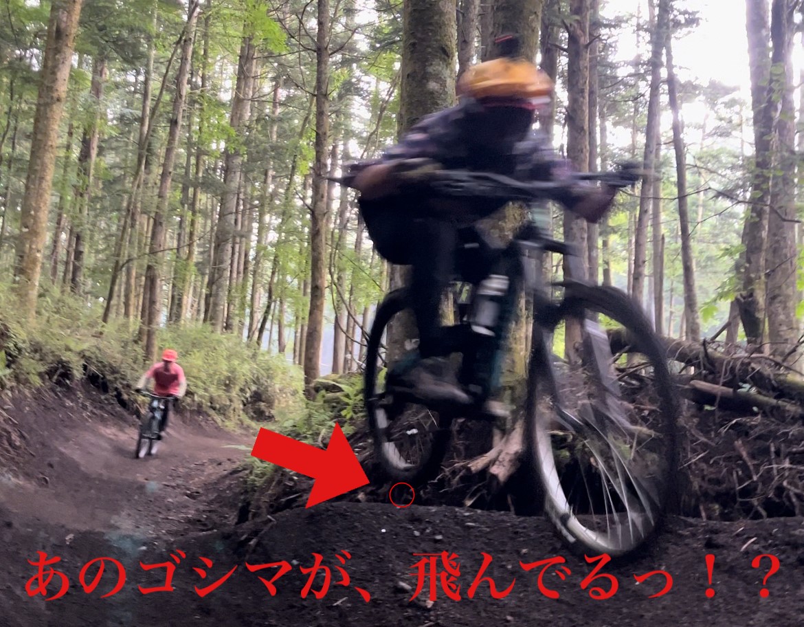 飛べないゴシマはただのゴシマ
