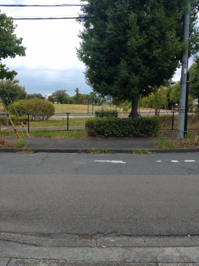 DSC_7290[1]