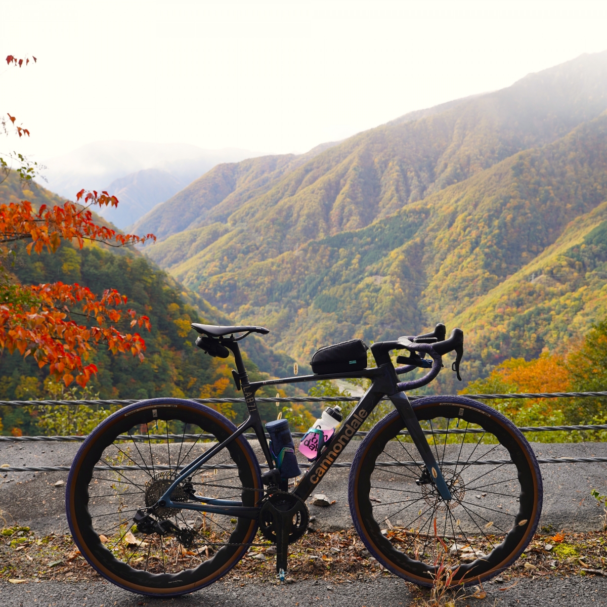 251103alps_00