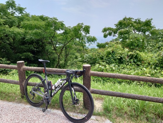【福岡のヒルクライム特集】Vol.7 志賀島の潮見展望台へ！挑戦者の多い裏ルートを攻略！ | 九州で自転車をお探しならY's Road福岡天神店
