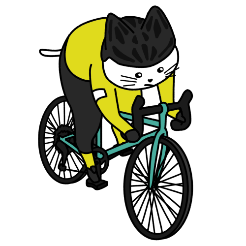 sports-0020-roadbike-uniform