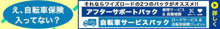 bnr_ausonpo_740_100 (1)