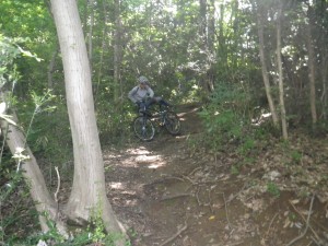 IMGP0066