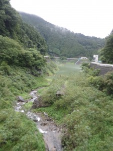 IMGP0038