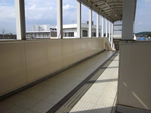 IMGP1035