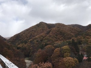 IMG_2204
