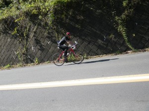 IMGP0121