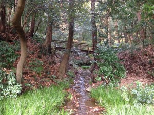 IMG_3903