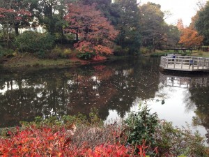 IMG_3907