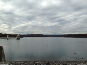 IMG_3967