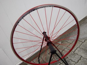 IMGP0954
