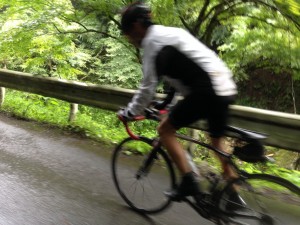 IMG_2026