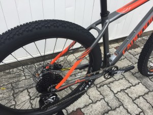 IMG_3050
