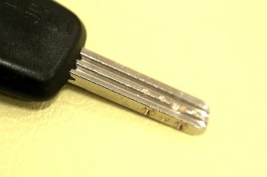 s-IMGP5524