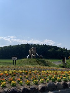 IMG_4499