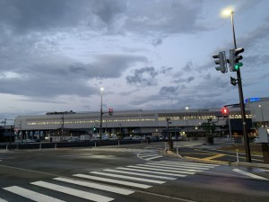 IMG_4512