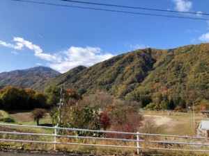 IMG_2746