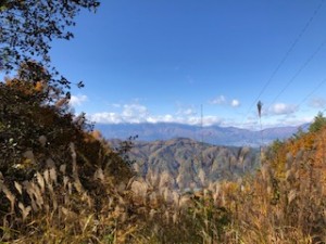 IMG_2760