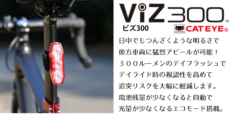 VIZ300