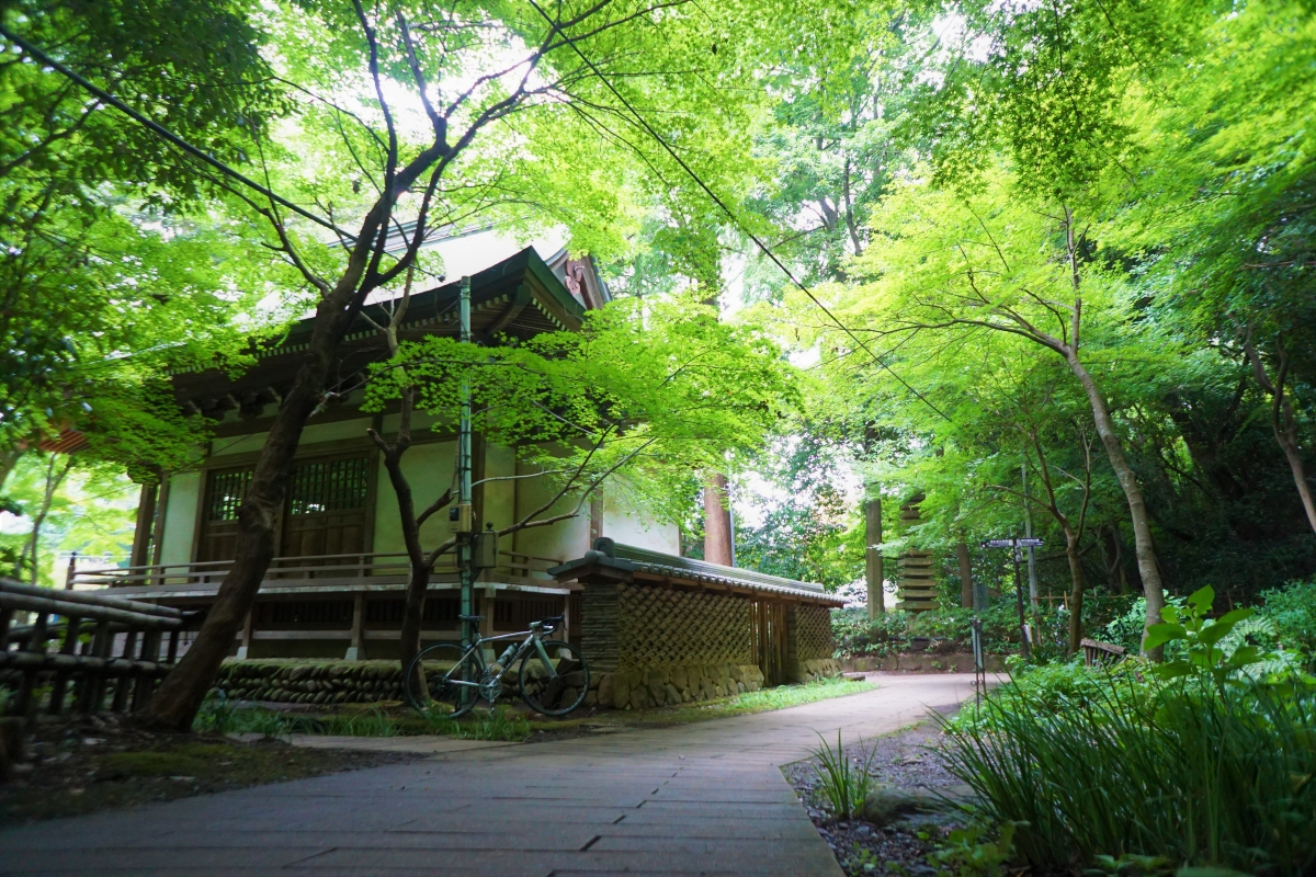 ロードバイク 深大寺サイクリング