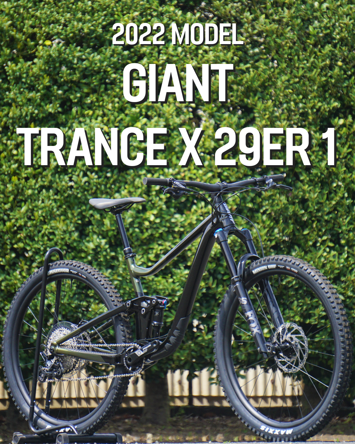 GIANT ( ジャイアント ) マウンテンバイク TRANCE X 29ER 1 ( トランス X 29ER 1 ) パンサー