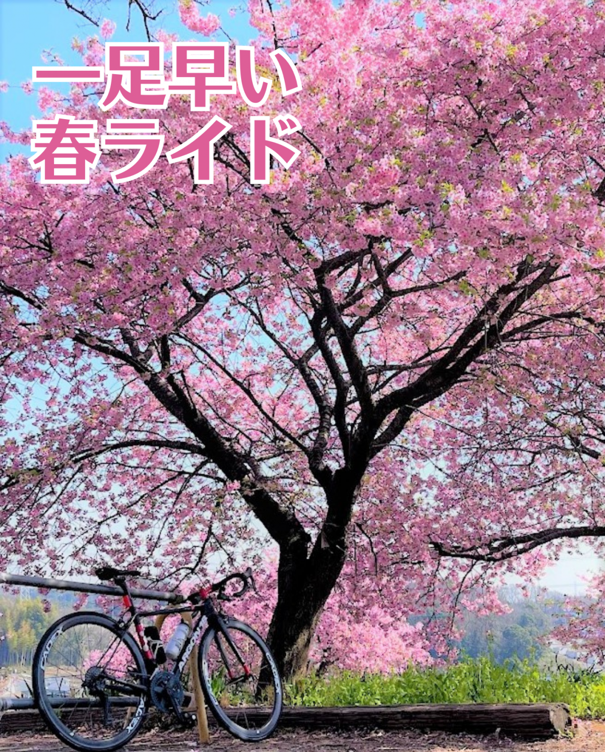 春ライド