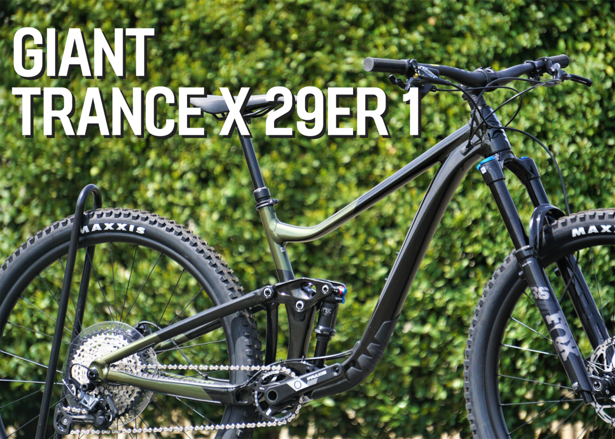 GIANT ( ジャイアント ) マウンテンバイク TRANCE X 29ER 1 ( トランス X 29ER 1 ) パンサー