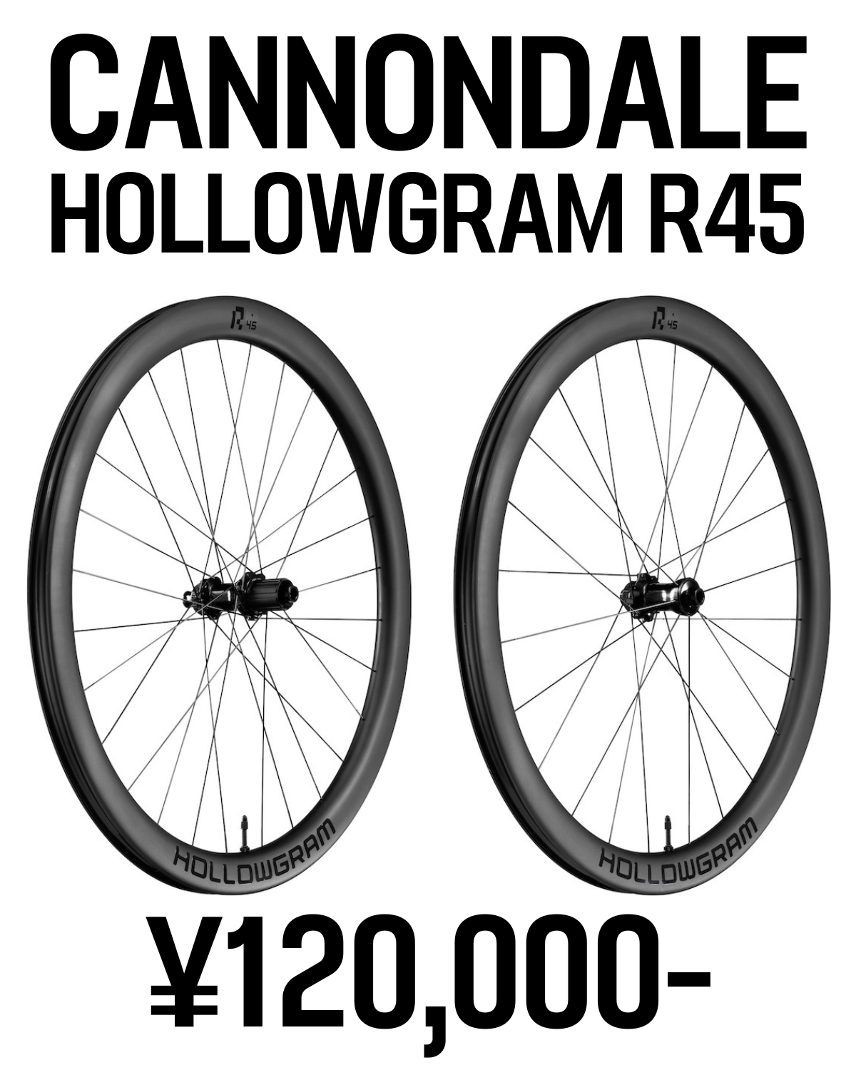 CANNONDALE HOLLOWGRAM R45