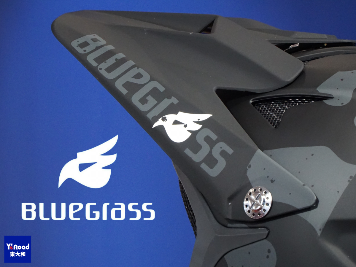 MTB BMX フルフェイス　低価格　エントリーモデル　Blue Grass Intox イントックス