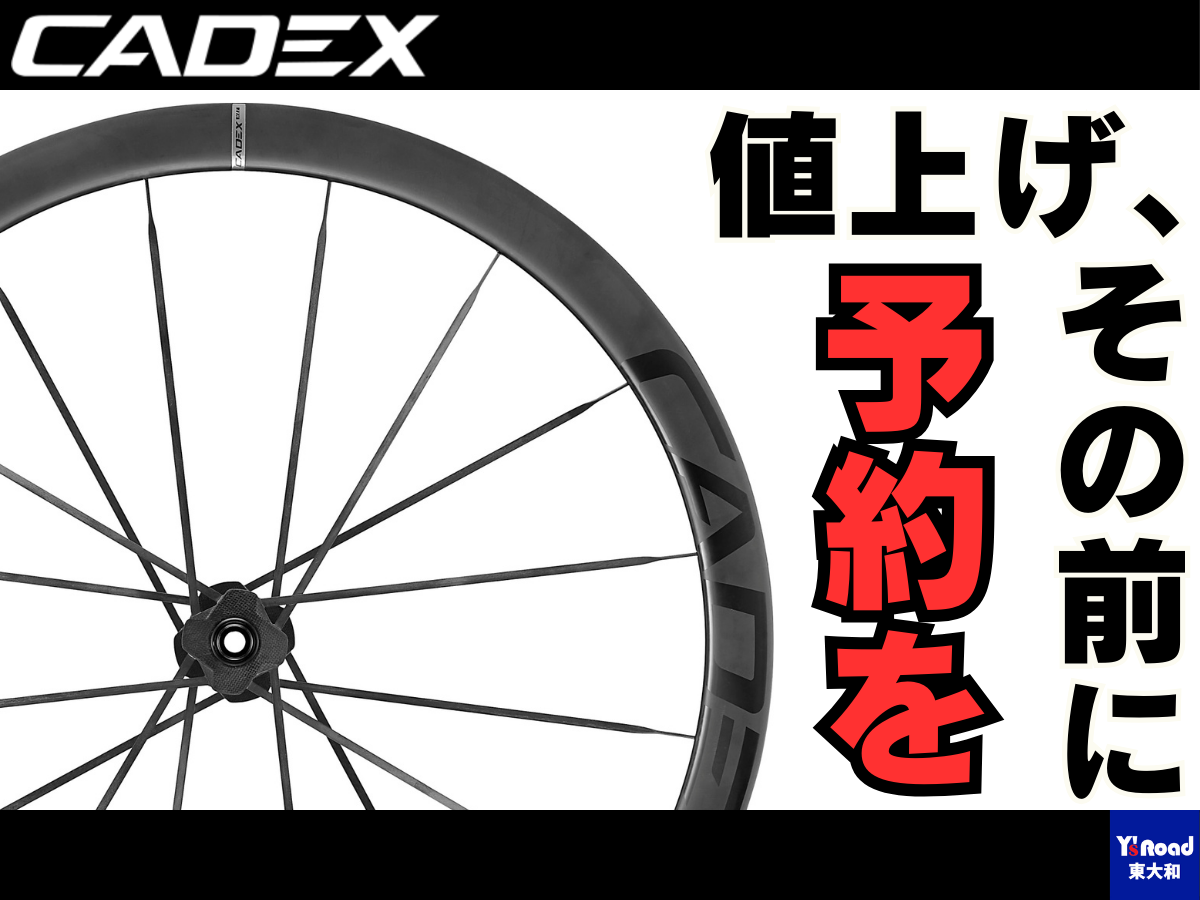 常設試乗車 (4)