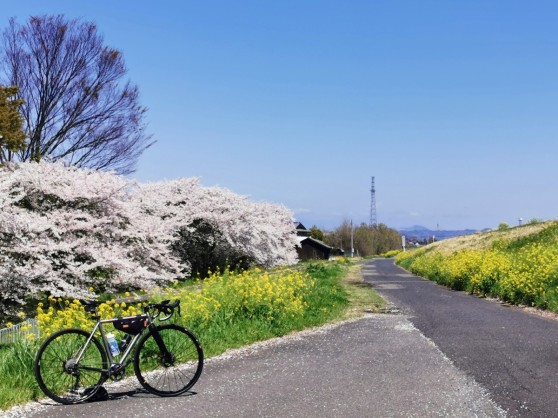 【スタッフライドログ】日本一のチャーシューメンがあると聞いて お花見ラーメンライド | 東大和で自転車をお探しならY's Road 東大和店