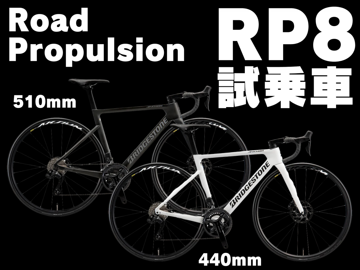 ANCHOR RP8 試乗車 無地