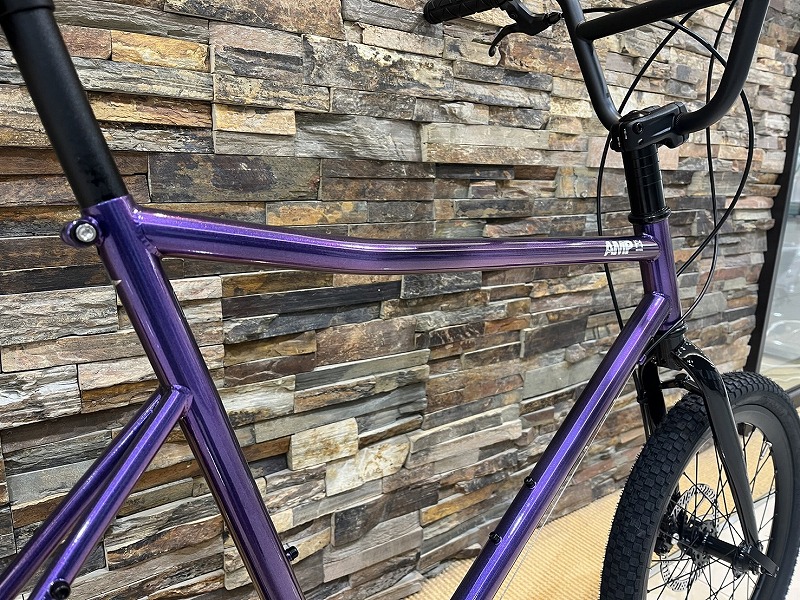 AMP F1