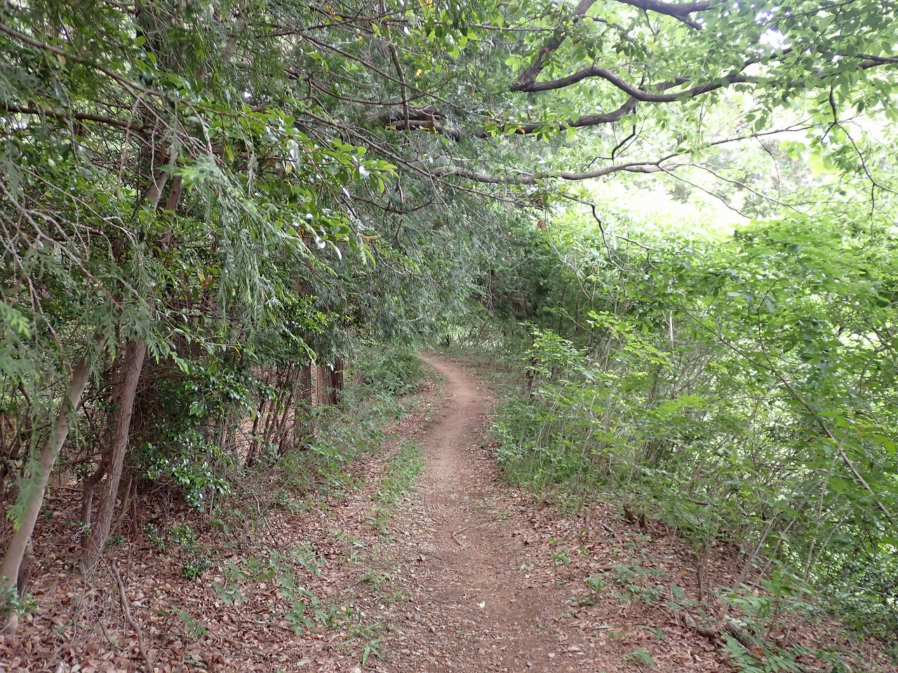 P5270153