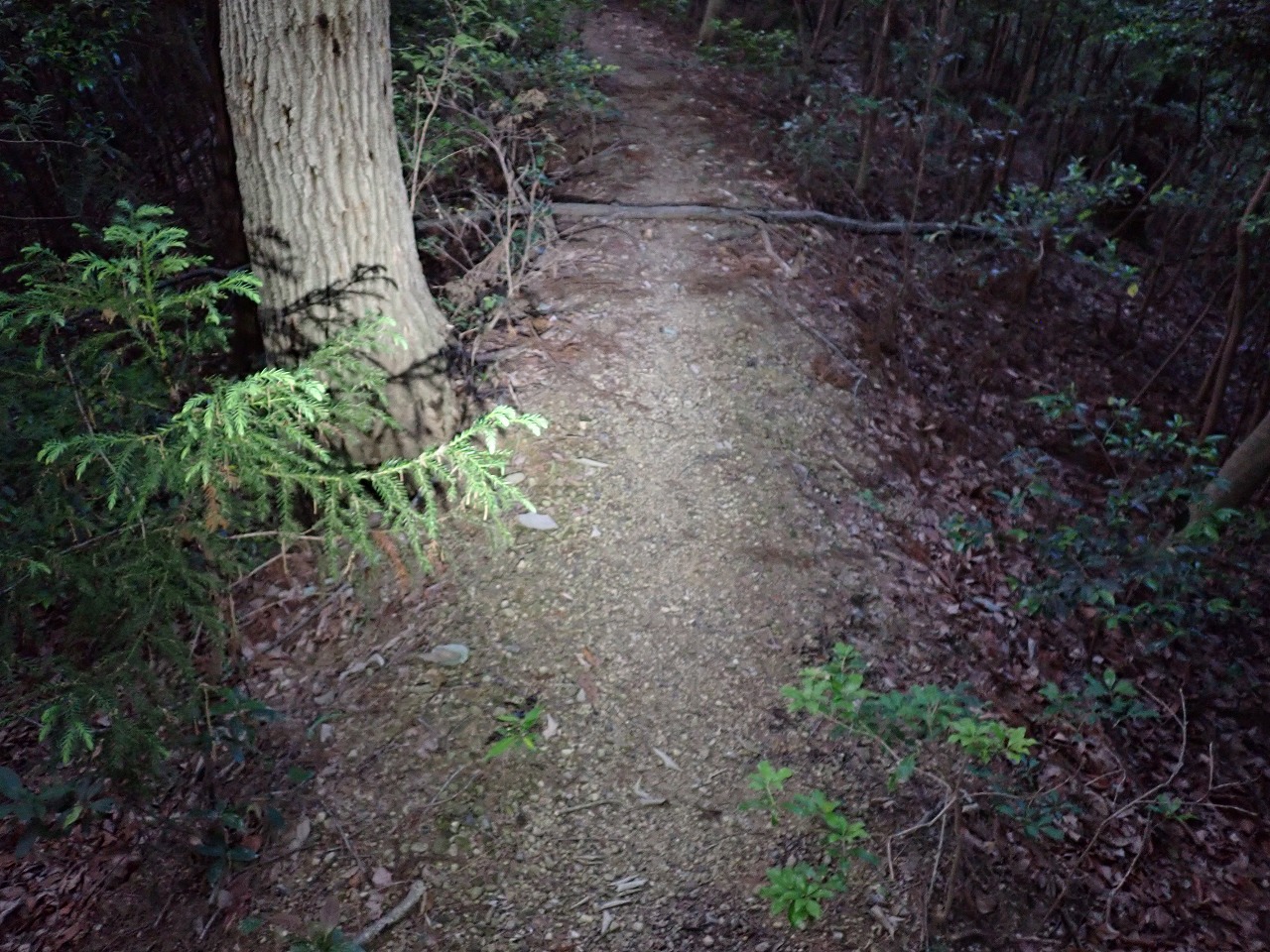 P5270159