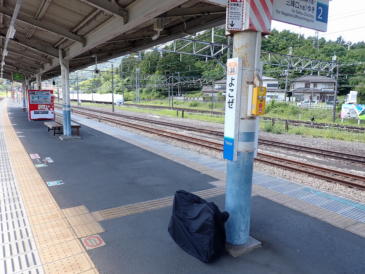P6050002